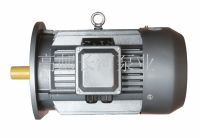 SMT系列永磁同步變頻電動(dòng)機