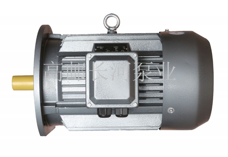 SMT系列永磁同步變頻電動(dòng)機