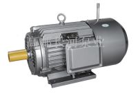 YEJ系列電磁制動(dòng)電動(dòng)機